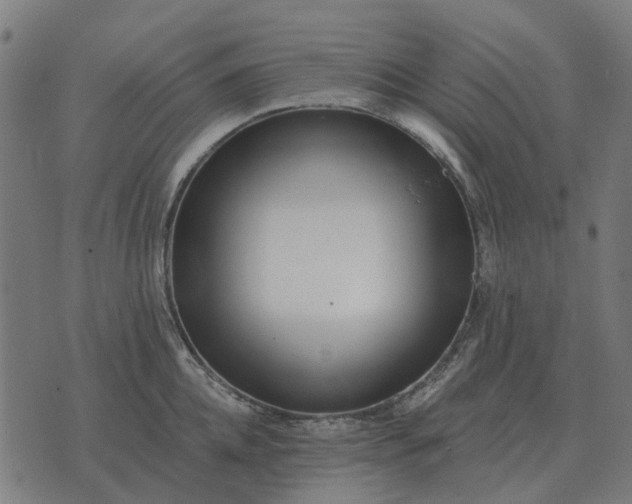 X0000070400952200606231759