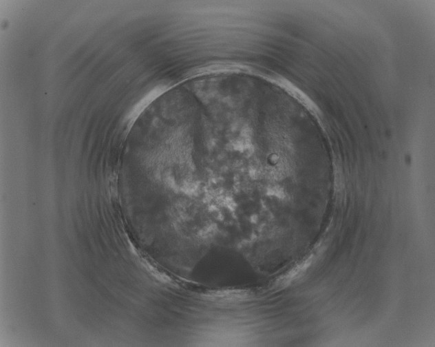 X0000070400953200606231759