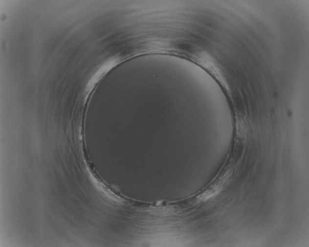 X0000070400954200606231759