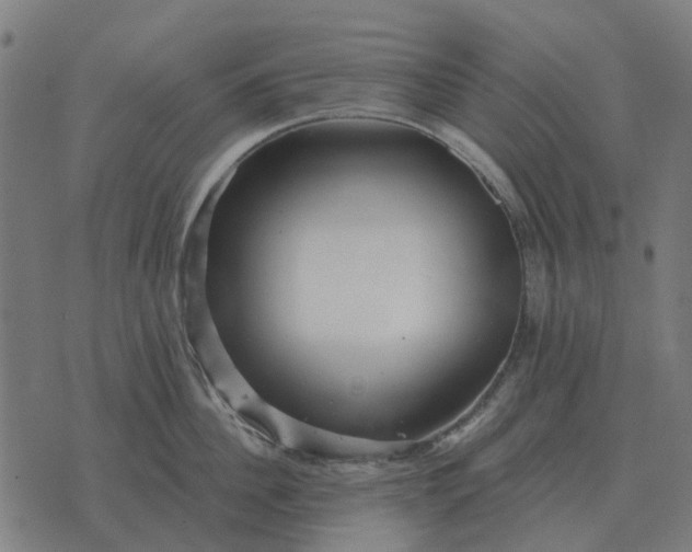 X0000070400956200606231759