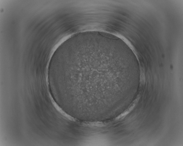 X0000070400957200606231759