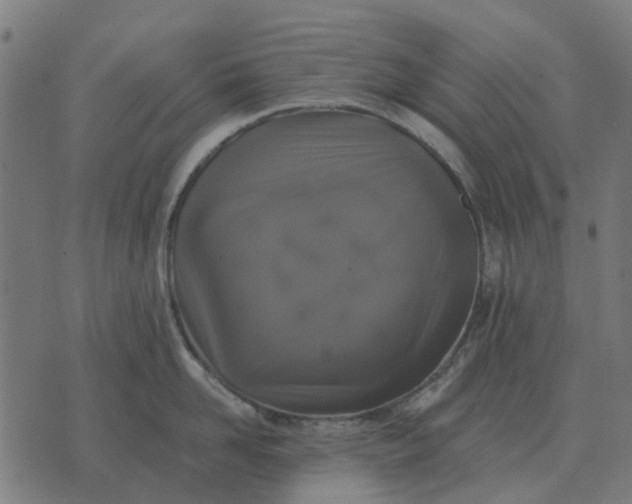 X0000070400958200606231759