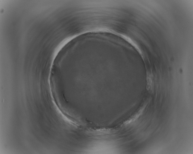 X0000070400959200606231759