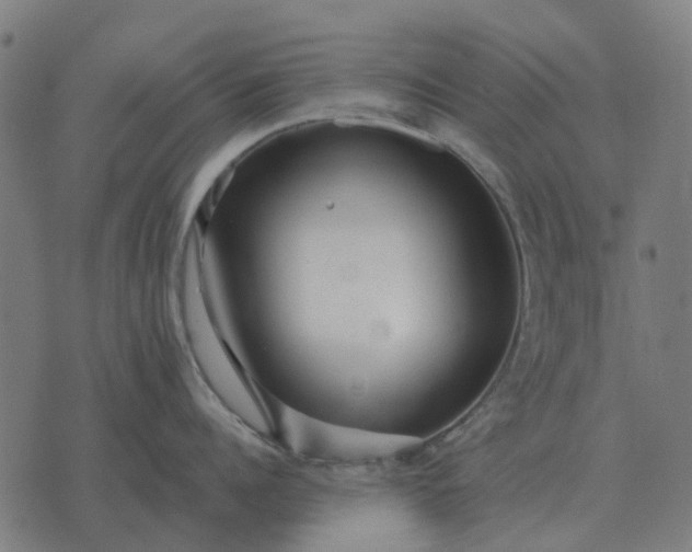 X0000070400960200606231759