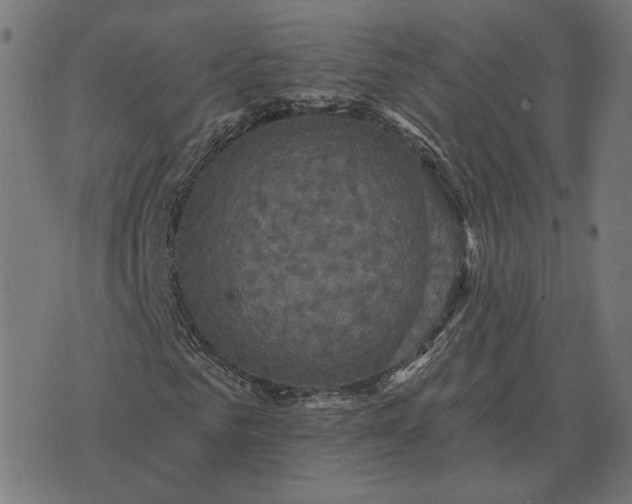 X0000070400961200606231758