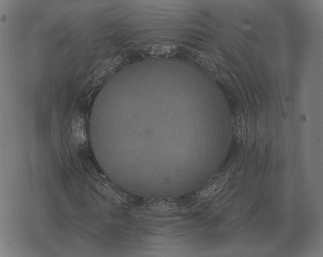 X0000070400962200606231758