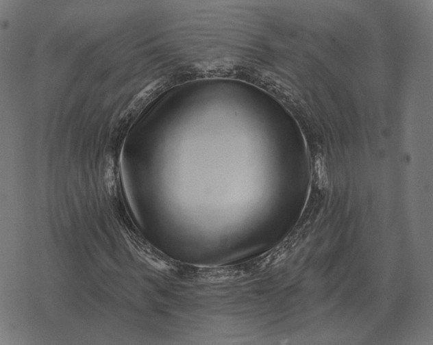 X0000070400963200606231758