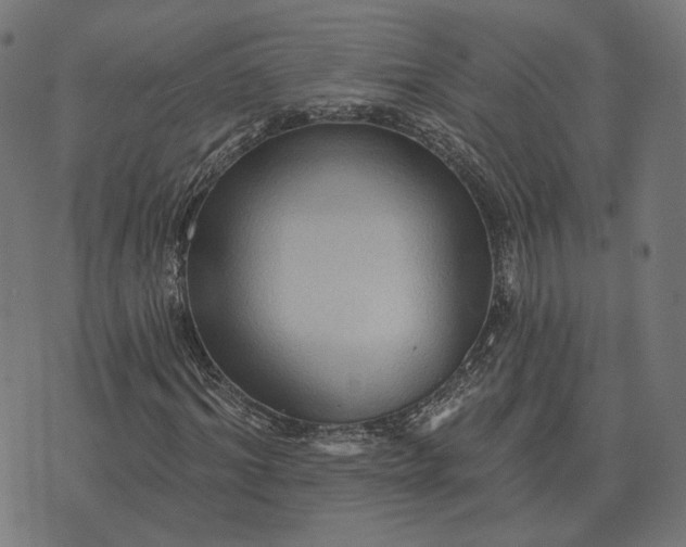 X0000070400964200606231758