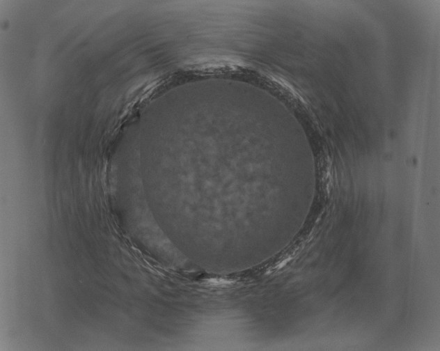 X0000070400965200606231758