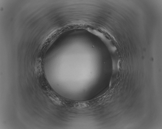 X0000070400968200606231758