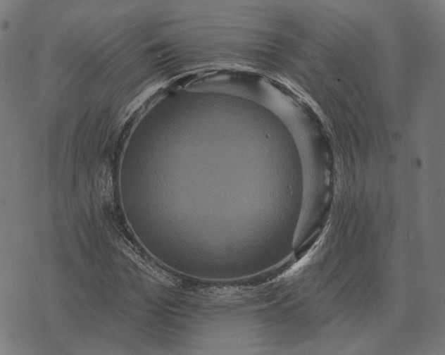 X0000070400969200606231758