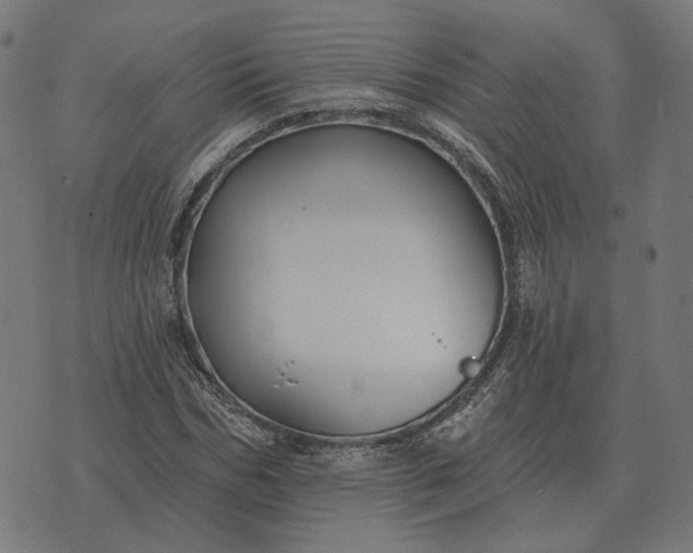 X0000070400970200606231758