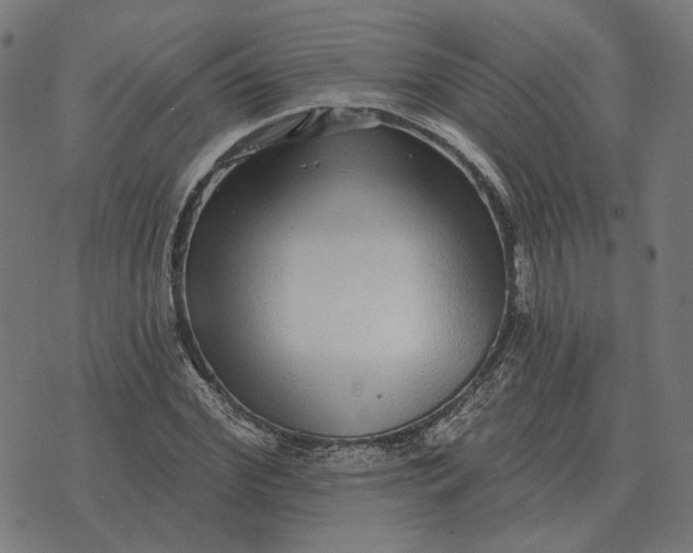 X0000070400972200606231758