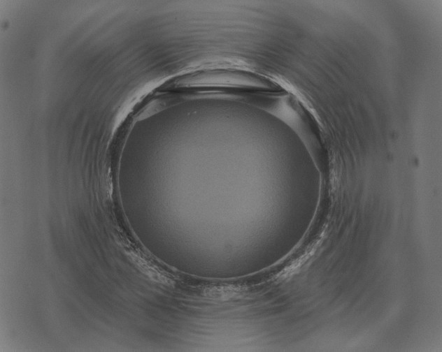 X0000070400973200606231758