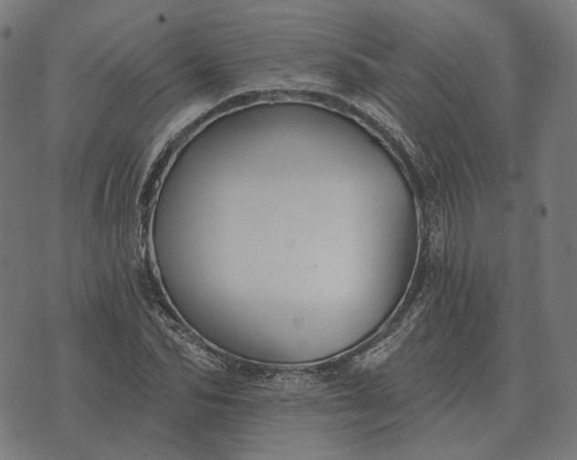 X0000070400974200606231758