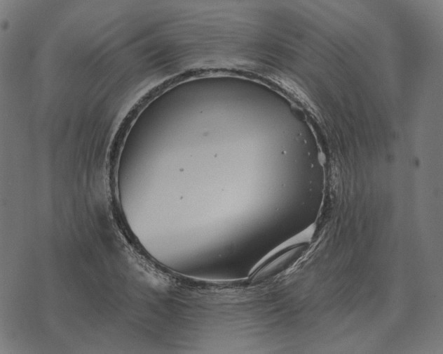 X0000070400976200606231758