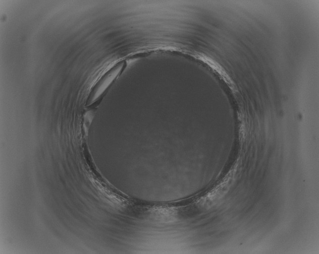 X0000070400977200606231758