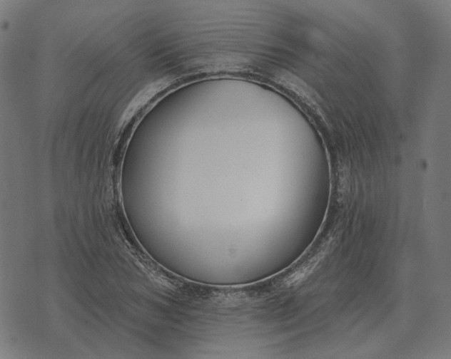 X0000070400978200606231758