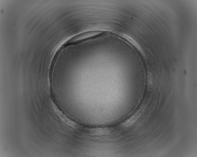 X0000070400980200606231758