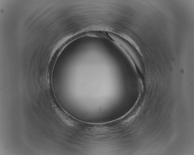 X0000070400981200606231758