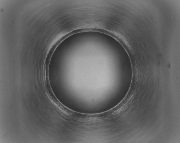 X0000070400982200606231758