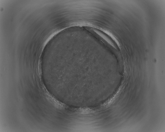 X0000070400983200606231758