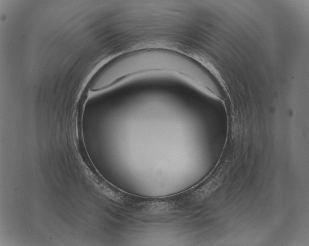 X0000070400984200606231758