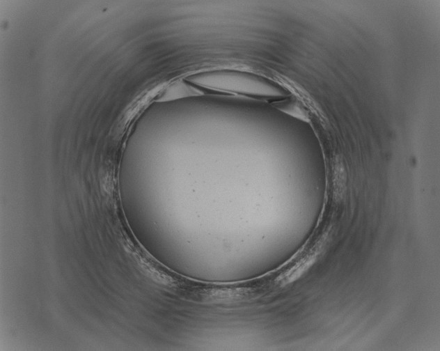 X0000070400985200606231758