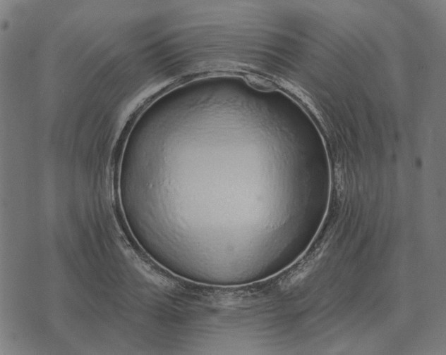 X0000070400987200606231758