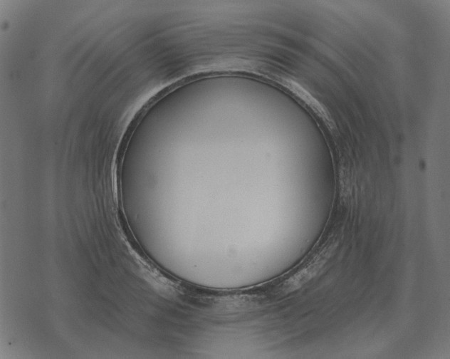 X0000070400988200606231758