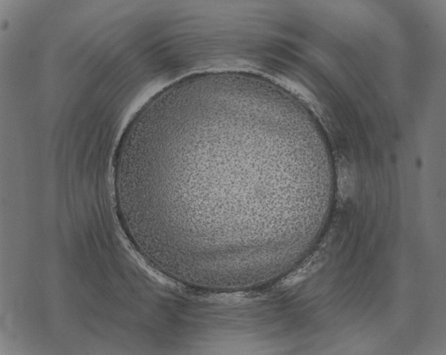 X0000070400990200606231758