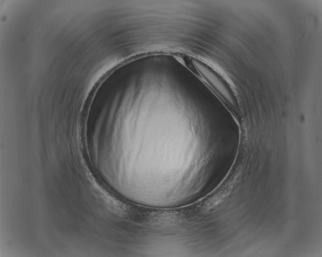 X0000070400991200606231758