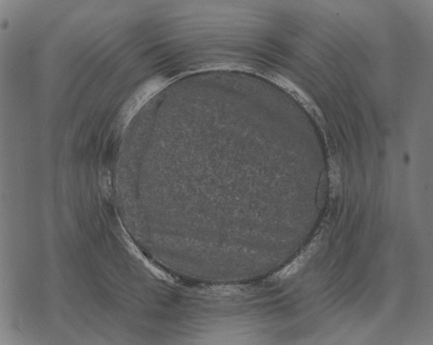 X0000070400993200606231758