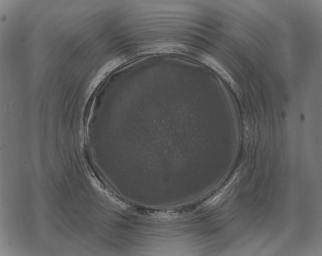 X0000070400994200606231758