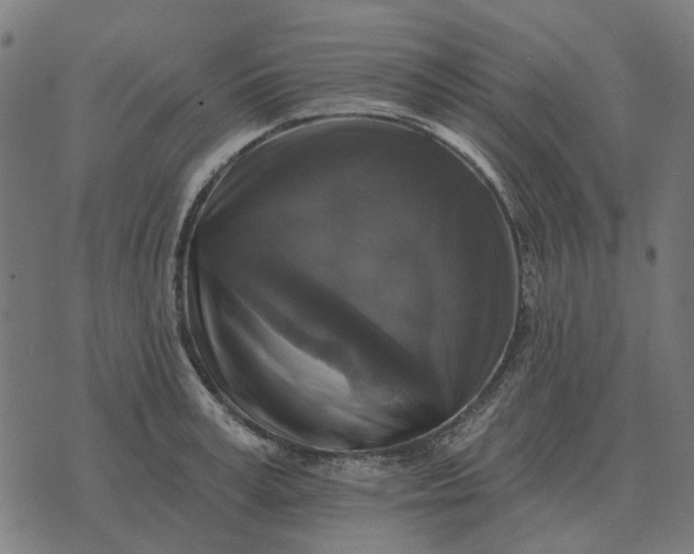 X0000070400995200606231758