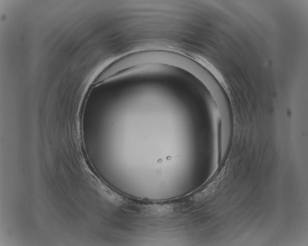 X0000070400996200606231758