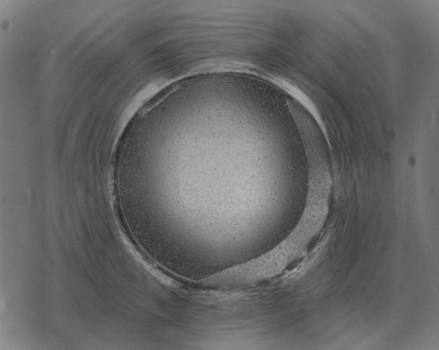 X0000070400997200606231758