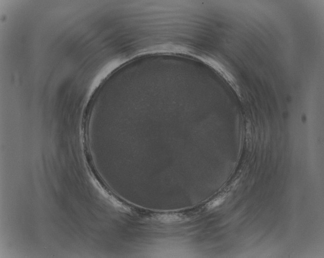 X0000070400998200606231758