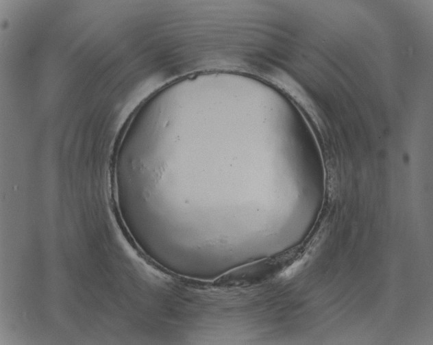 X0000070400999200606231758