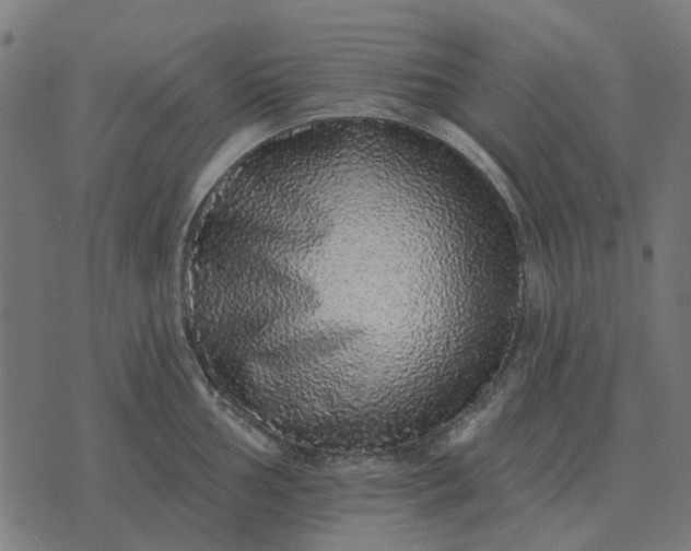 X0000070401002200606231758