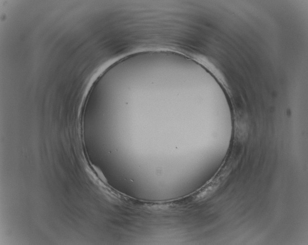 X0000070401004200606231758