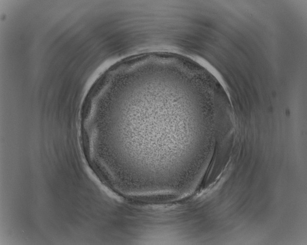 X0000070401005200606231758