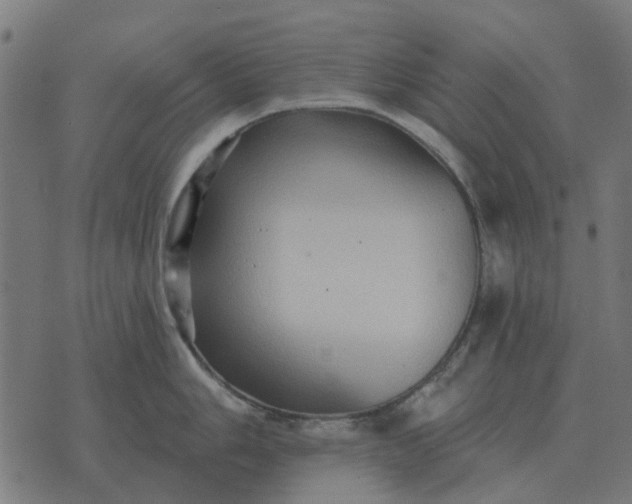 X0000070401006200606231758