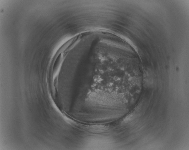 X0000070401007200606231758