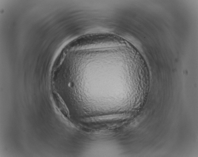 X0000070401008200606231758