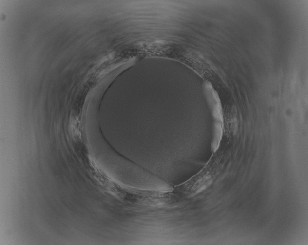 X0000070401010200606231757