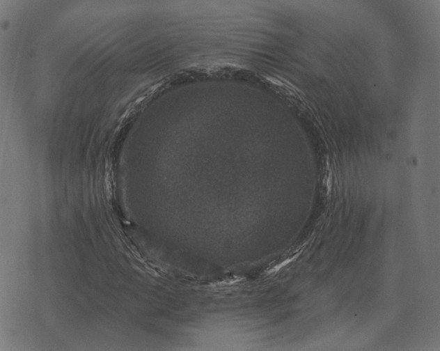 X0000070401014200606231757