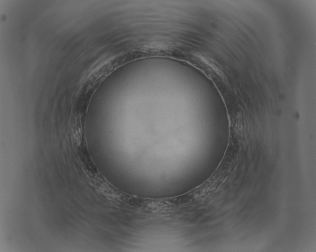 X0000070401015200606231757