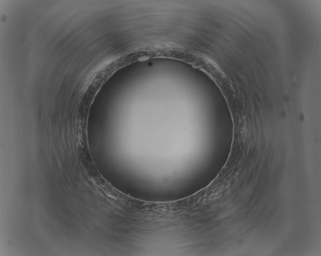 X0000070401016200606231757