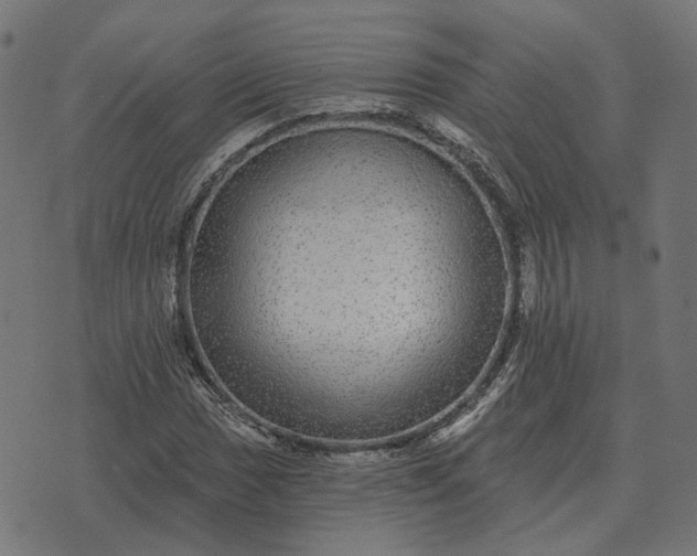 X0000070401017200606231757